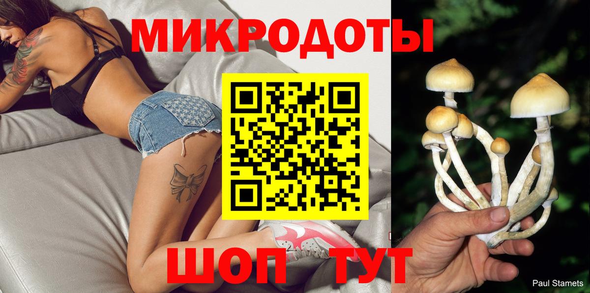 Галлюциногенные грибы Magic Shrooms  Вход с VPN  Назрань  Псилоцибиновые грибы мицелий 